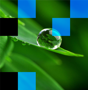 ecologique et economique